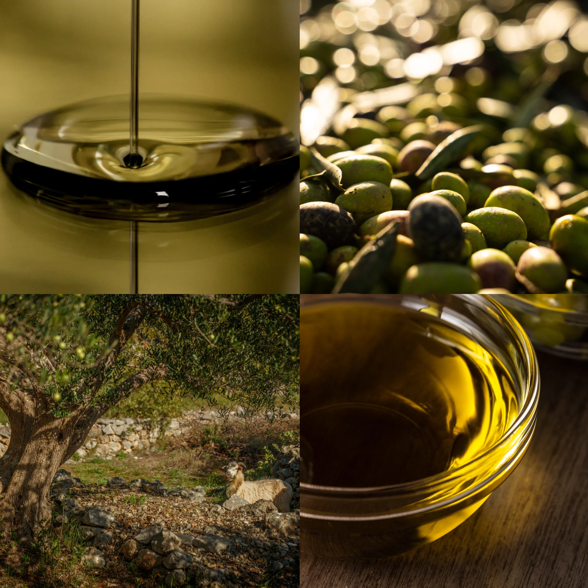 Huile d’olive extra vierge Koroneiki