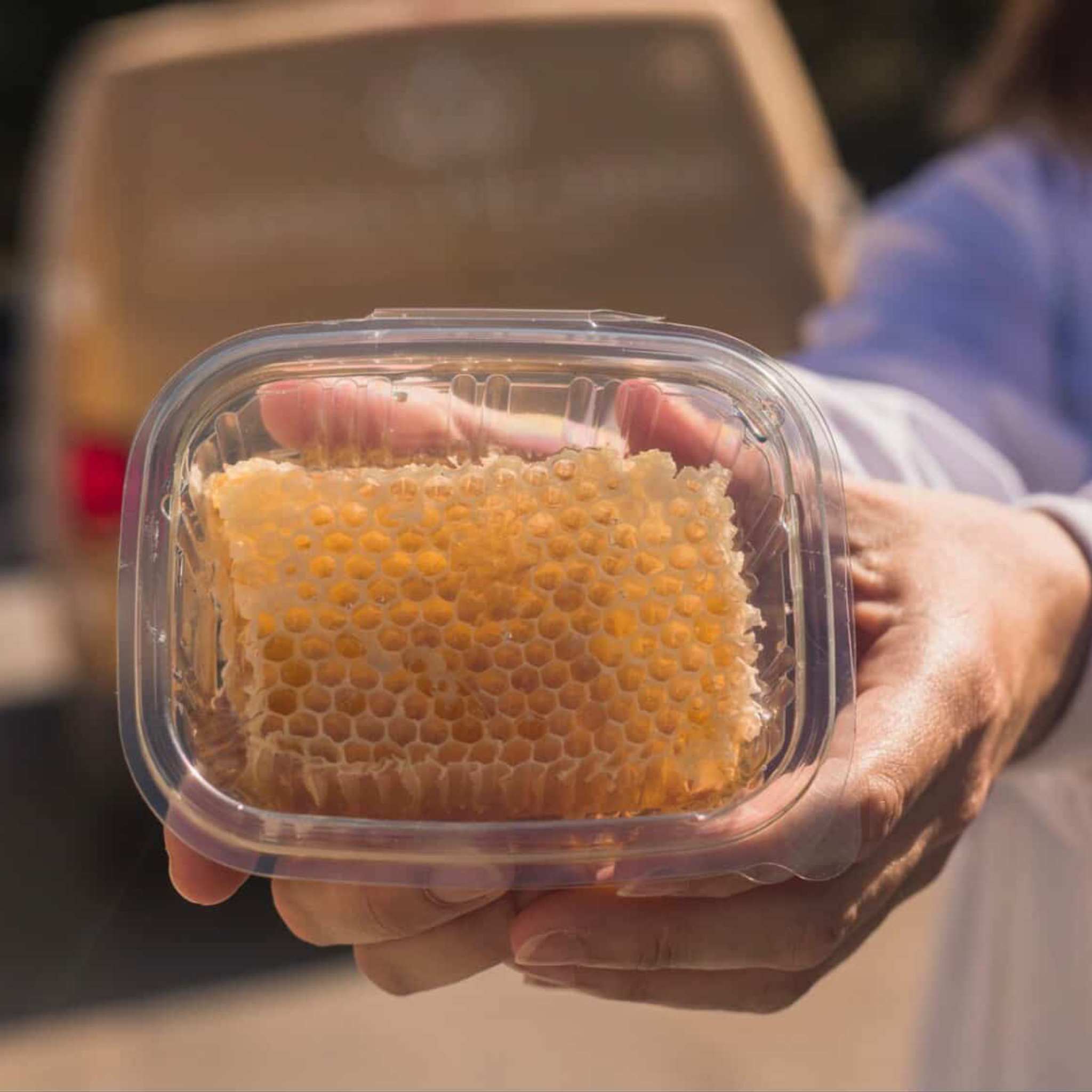 Rayon de miel - Le miel à l’état brut