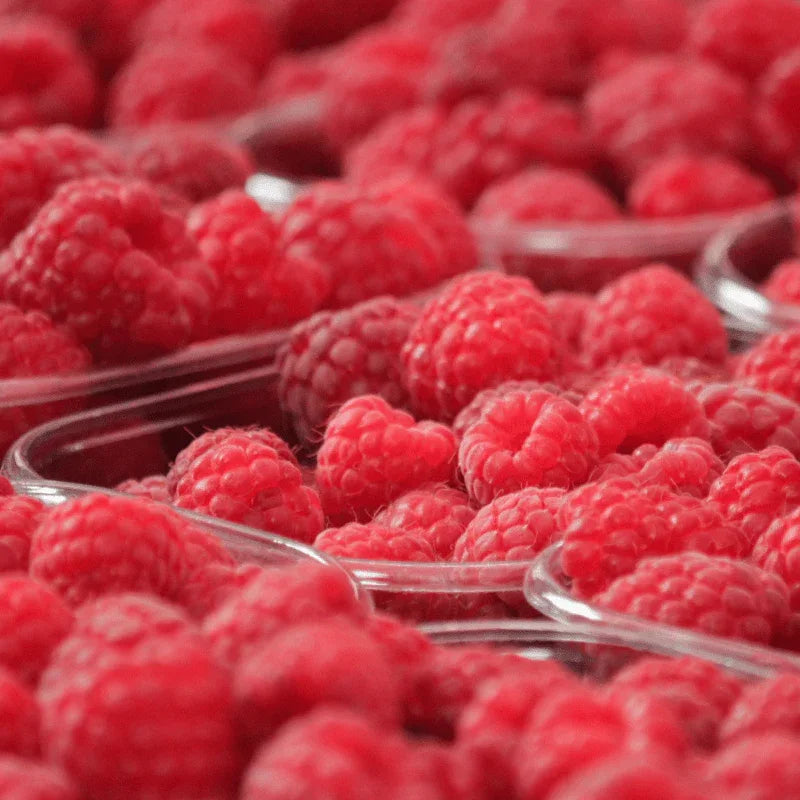 Confiture de Framboise Bio - Nature Conexión