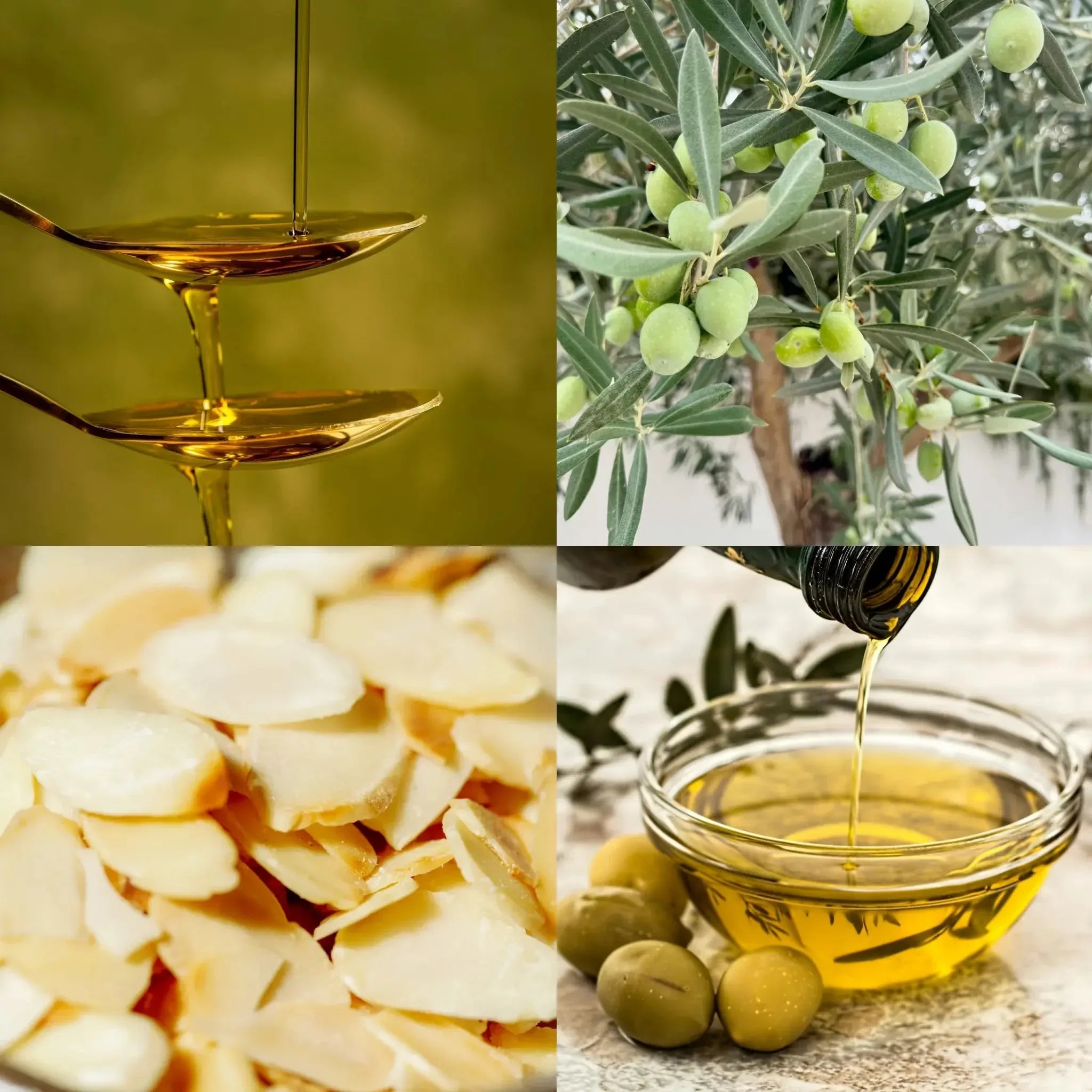 Huile d’olive Extra vierge Arbequina - Nature Conexión